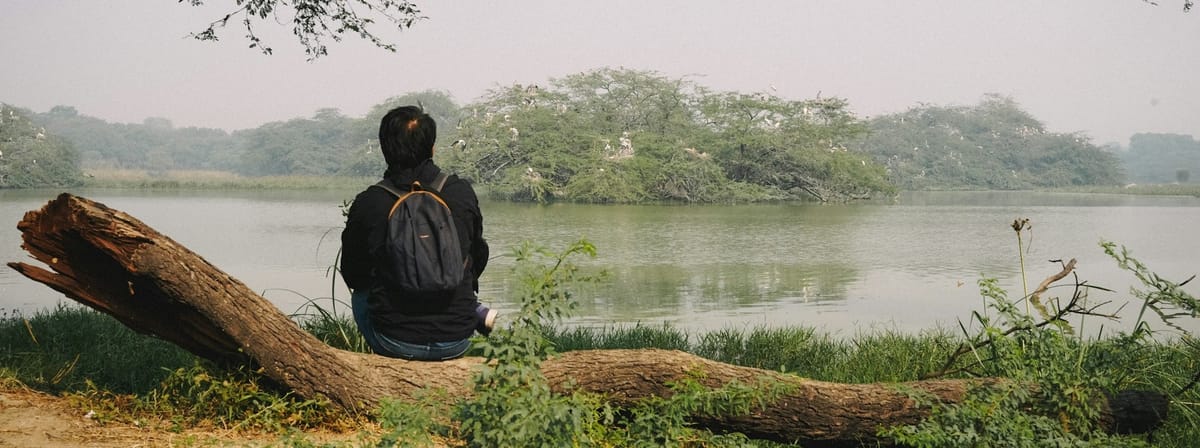 The Hidden Strength of Quiet Thinkers